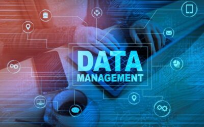 Cost of A Data Management System